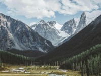 柚子影视像拼图：先找对象有没有被换掉这块，再把轴线起点终点读完整（像在做X光），不求完美但求对齐