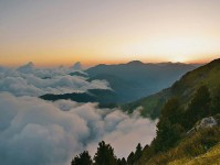 柚子影视像拼图：先找对象有没有被换掉这块，再把轴线起点终点读完整（像在做X光），不求完美但求对齐