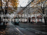 读p站视频先盯导语先定调了吗，然后把配乐拿掉再理解，p站视频主