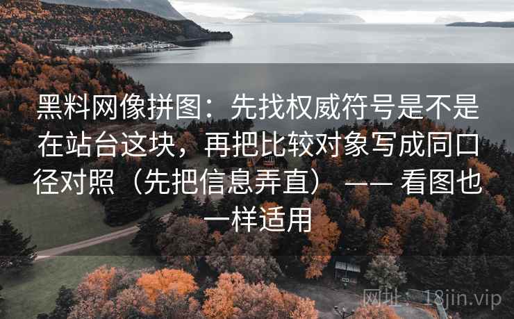 黑料网像拼图：先找权威符号是不是在站台这块，再把比较对象写成同口径对照（先把信息弄直） —— 看图也一样适用